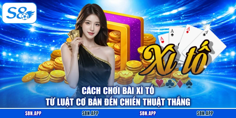 Cách Chơi Bài Xì Tố Từ Luật Cơ Bản Đến Chiến Thuật Thắng